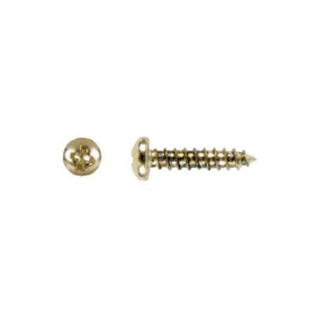 CRL GDHSCBR Brass Mounting Screw for Hinges and Magnetic Glass Door Latches - pack of 50